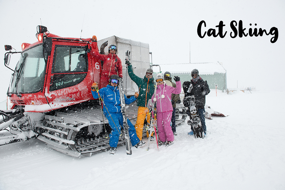 cat_skiing.jpg