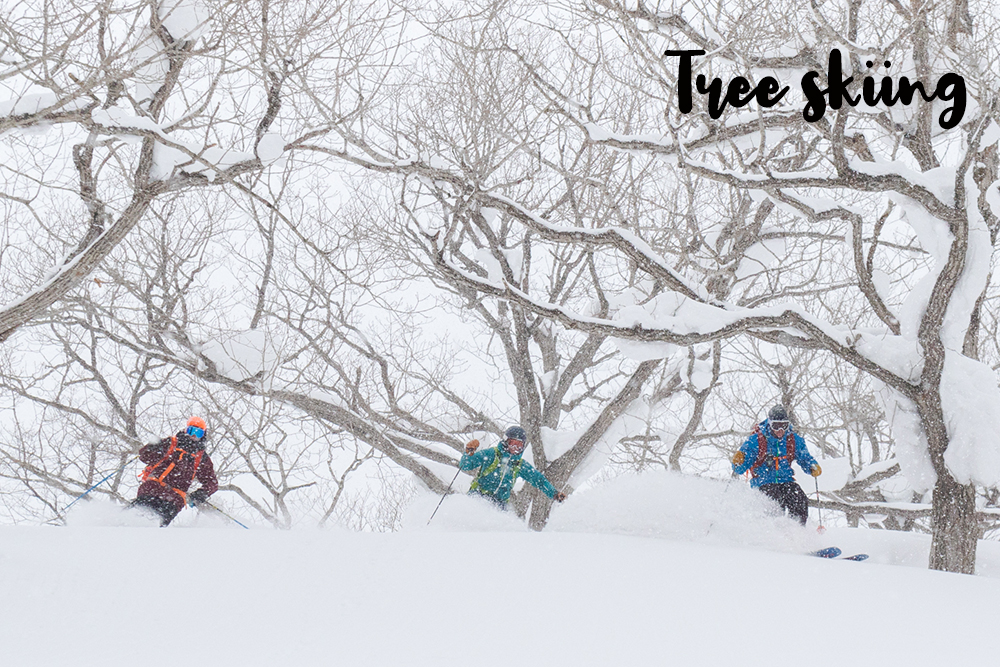 tree_skiing.jpg