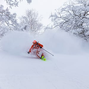 Skier in red descending a snowy slope with trees in the background.