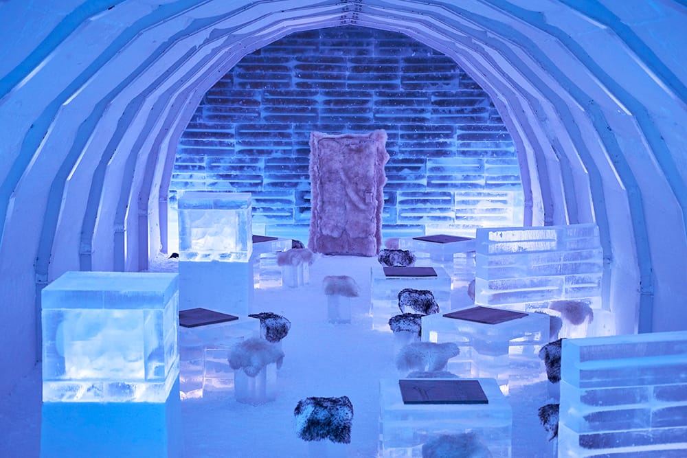 Looking for a cool experience?